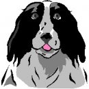 animali/cane/clipart_cani_133.jpg