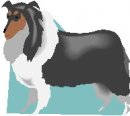 animali/cane/clipart_cani_138.jpg