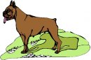 animali/cane/clipart_cani_149.jpg