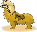 animali/cane/clipart_cani_15.jpg