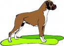 animali/cane/clipart_cani_152.jpg