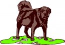 animali/cane/clipart_cani_153.jpg