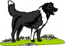 animali/cane/clipart_cani_154.jpg