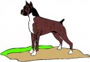 animali/cane/clipart_cani_159.jpg