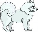 animali/cane/clipart_cani_16.jpg