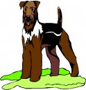 animali/cane/clipart_cani_166.jpg