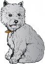 animali/cane/clipart_cani_167.jpg