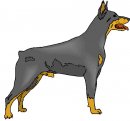 animali/cane/clipart_cani_17.jpg