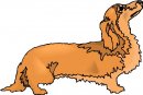 animali/cane/clipart_cani_18.jpg