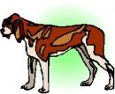 animali/cane/clipart_cani_202.jpg