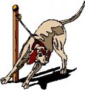 animali/cane/clipart_cani_203.jpg