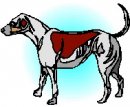 animali/cane/clipart_cani_205.jpg