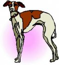 animali/cane/clipart_cani_206.jpg