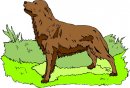 animali/cane/clipart_cani_208.jpg