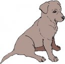 animali/cane/clipart_cani_209.jpg