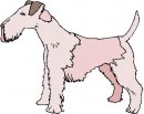 animali/cane/clipart_cani_211.jpg