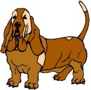 animali/cane/clipart_cani_212.jpg