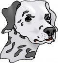 animali/cane/clipart_cani_22.jpg