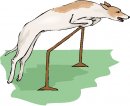 animali/cane/clipart_cani_24.jpg