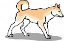 animali/cane/clipart_cani_25.jpg