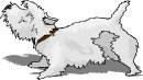 animali/cane/clipart_cani_30.jpg