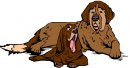 animali/cane/clipart_cani_305.jpg