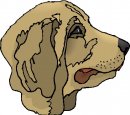 animali/cane/clipart_cani_31.jpg