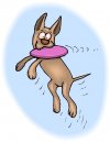 animali/cane/clipart_cani_32.jpg