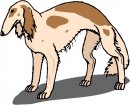 animali/cane/clipart_cani_33.jpg