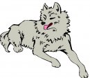 animali/cane/clipart_cani_344.jpg