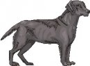 animali/cane/clipart_cani_363.jpg