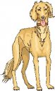 animali/cane/clipart_cani_364.jpg