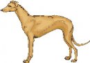 animali/cane/clipart_cani_369.jpg