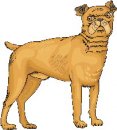 animali/cane/clipart_cani_370.jpg