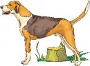 animali/cane/clipart_cani_371.jpg