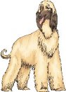 animali/cane/clipart_cani_372.jpg