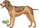 animali/cane/clipart_cani_373.jpg