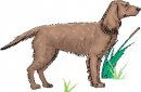 animali/cane/clipart_cani_377.jpg