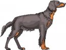 animali/cane/clipart_cani_378.jpg