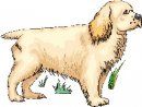 animali/cane/clipart_cani_379.jpg