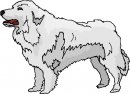 animali/cane/clipart_cani_38.jpg