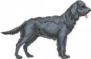 animali/cane/clipart_cani_380.jpg