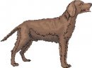 animali/cane/clipart_cani_381.jpg