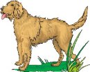 animali/cane/clipart_cani_382.jpg