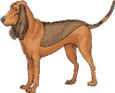 animali/cane/clipart_cani_383.jpg