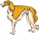 animali/cane/clipart_cani_385.jpg