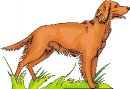 animali/cane/clipart_cani_386.jpg