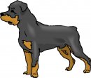 animali/cane/clipart_cani_40.jpg