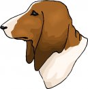 animali/cane/clipart_cani_43.jpg