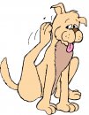 animali/cane/clipart_cani_63.jpg